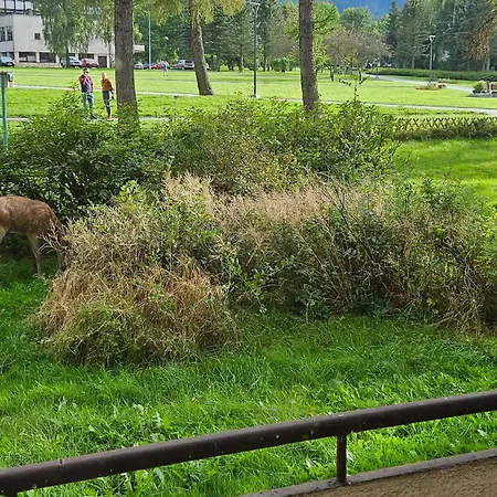 Apartserwis Apartamnet Jelonek Apartmán